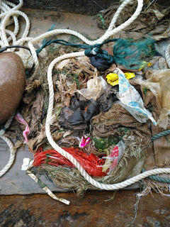 四水廠(chǎng)清理取水口壞境 確保安全生產(chǎn)