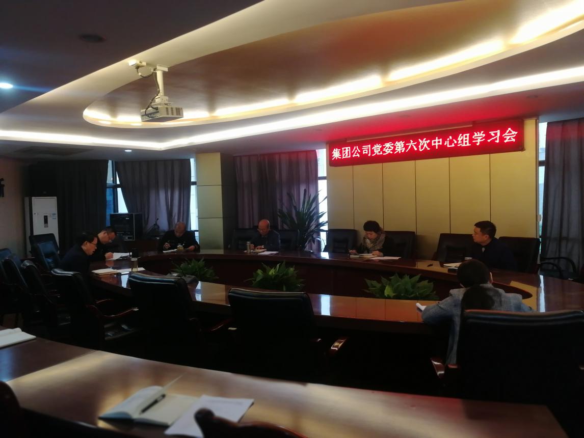 集團(tuán)公司黨委學(xué)習(xí)貫徹黨的十九屆四中全會精神