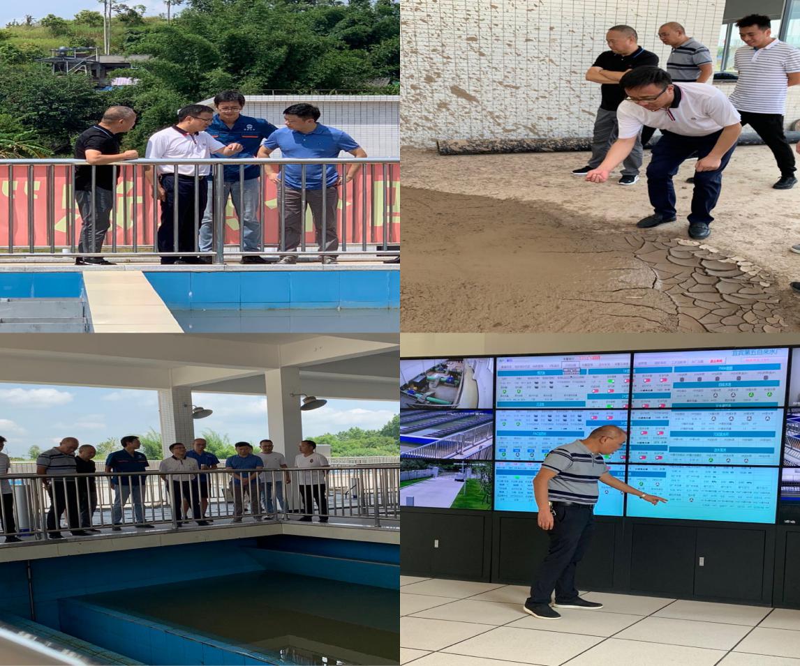 集團公司領(lǐng)導(dǎo)調(diào)研臨港五水廠試運行工作