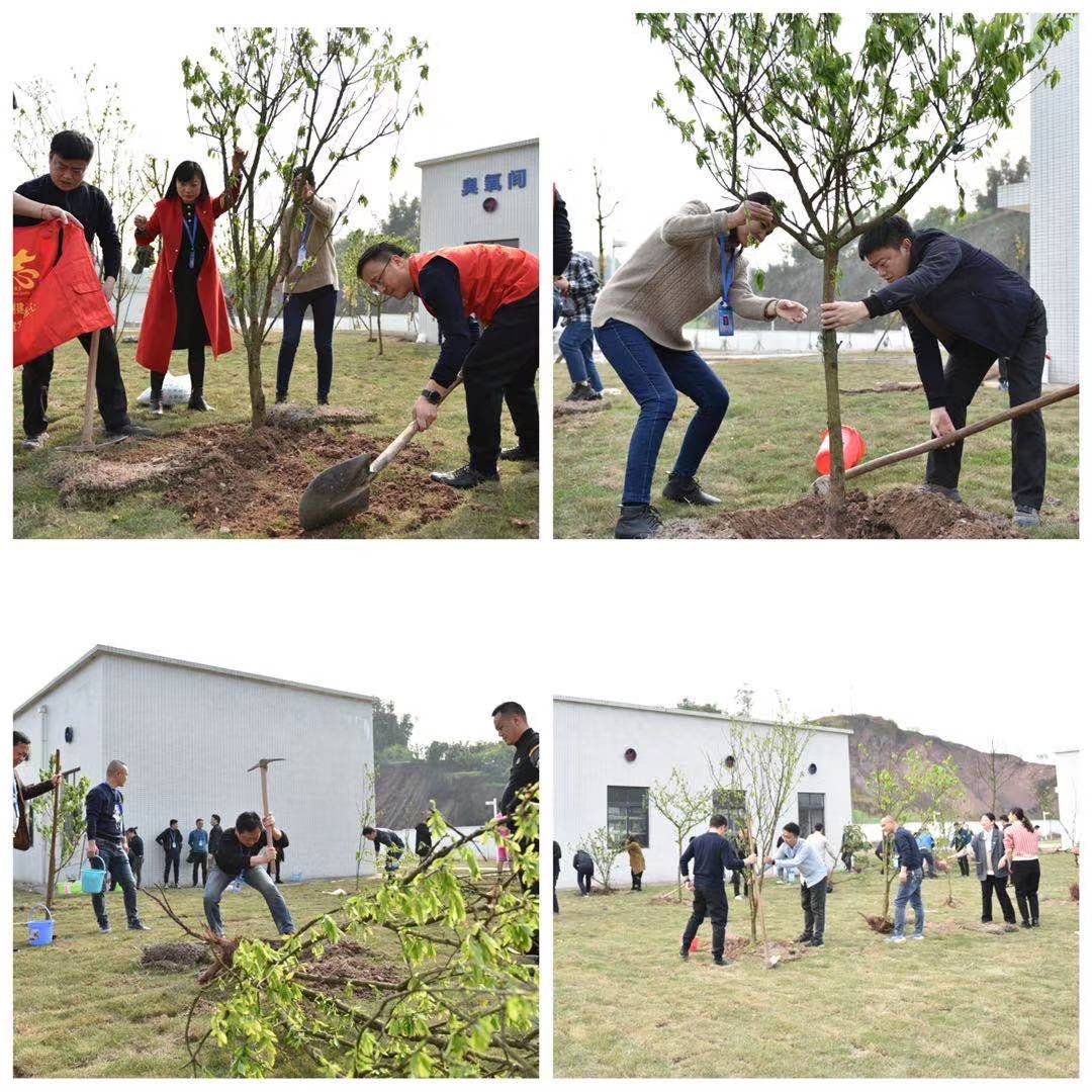 人勤春來早 種綠正當(dāng)時 ——清源水務(wù)集團(tuán)組織開展“植樹節(jié)”活動