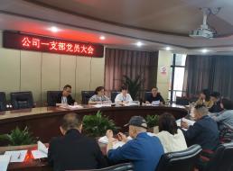 公司一支部開展 “學(xué)黨史、強信念、知黨恩、跟黨走” 黨史讀書交流會主題黨日活動