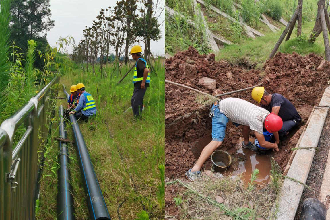 集團公司黨委書記、董事長周燕賓深入基層開展“為群眾辦實事”工作