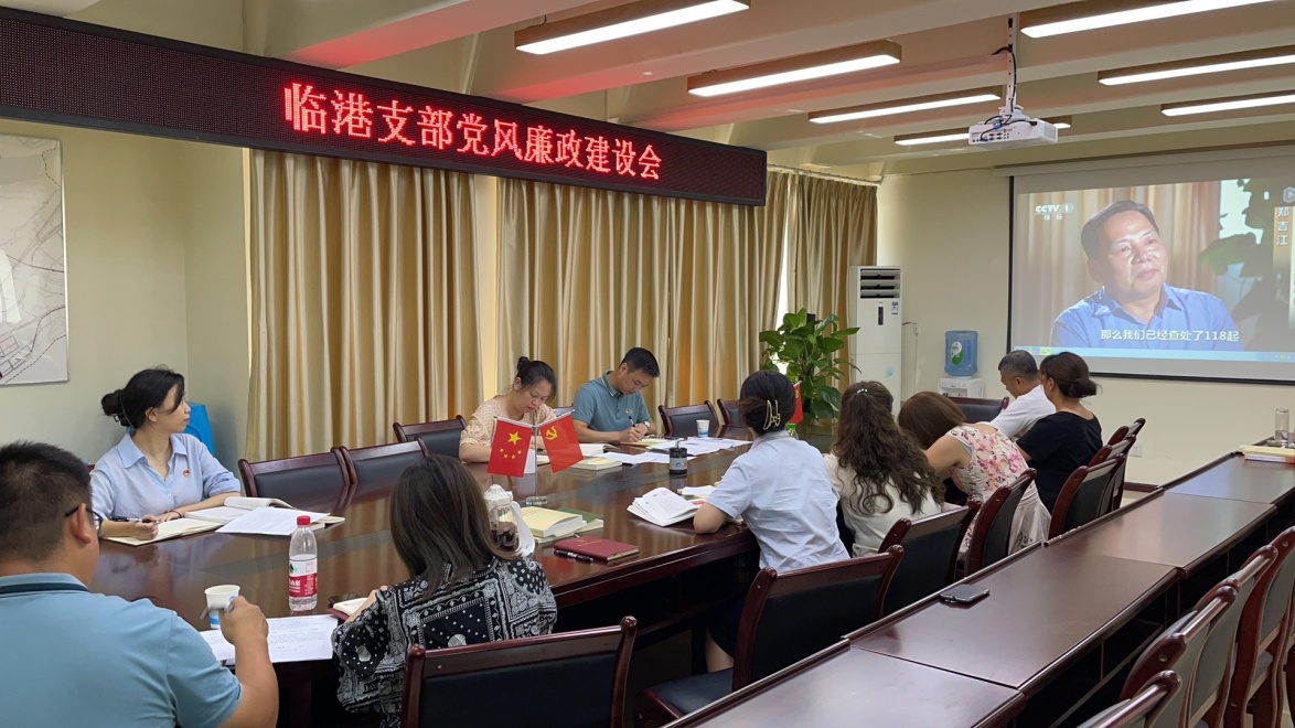 臨港支部組織收看警示教育片《正風(fēng)肅紀(jì)紀(jì)實(shí)》 ——臨港支部召開7月黨風(fēng)廉政建設(shè)會