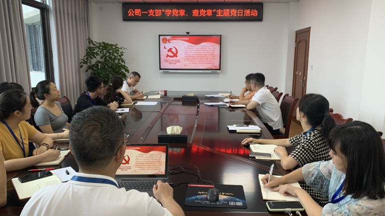 清源水務公司黨委組織開展“學黨章、遵黨章”系列主題黨日活動